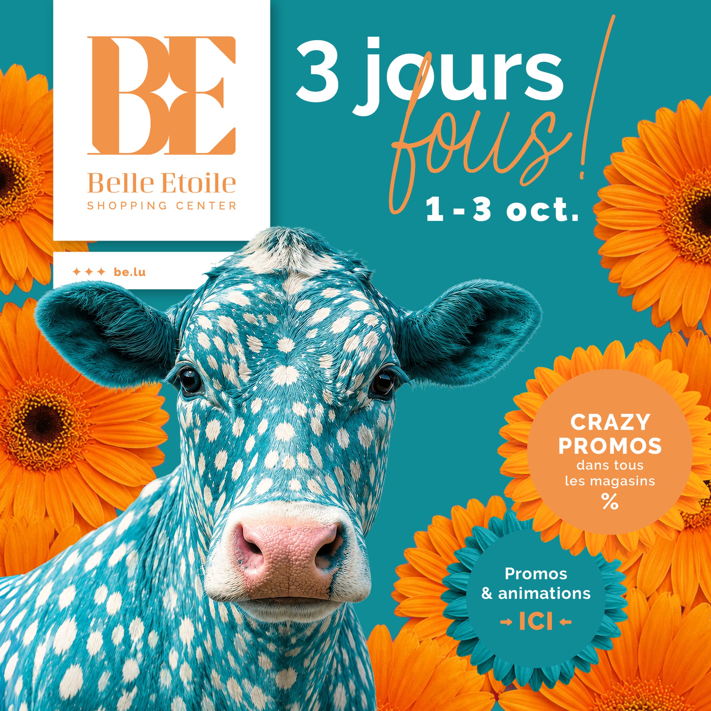 Les 3 jours fous à la Belle Etoile !