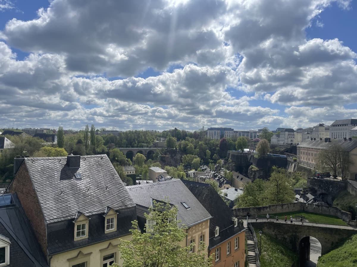 The Beech Tree By the Museum, the most gourmet brasserie in Luxembourg City - 17