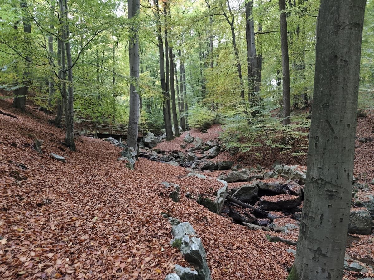 The magic and timeless hike - 9