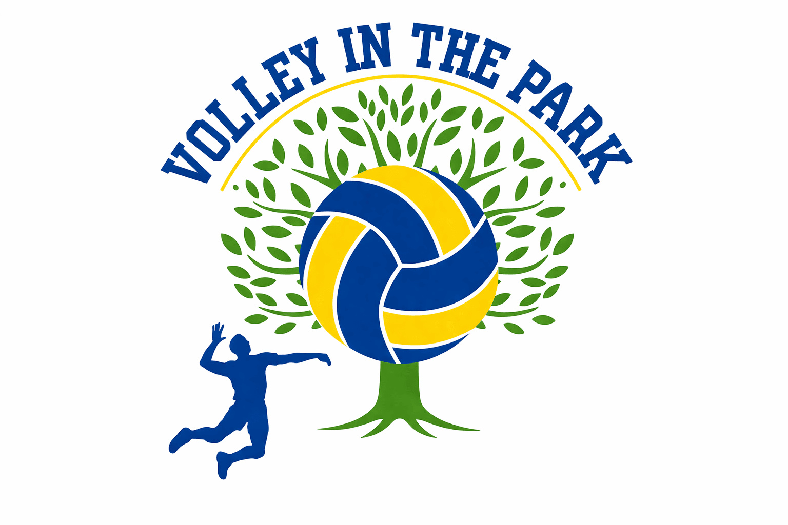 Volley in the Park