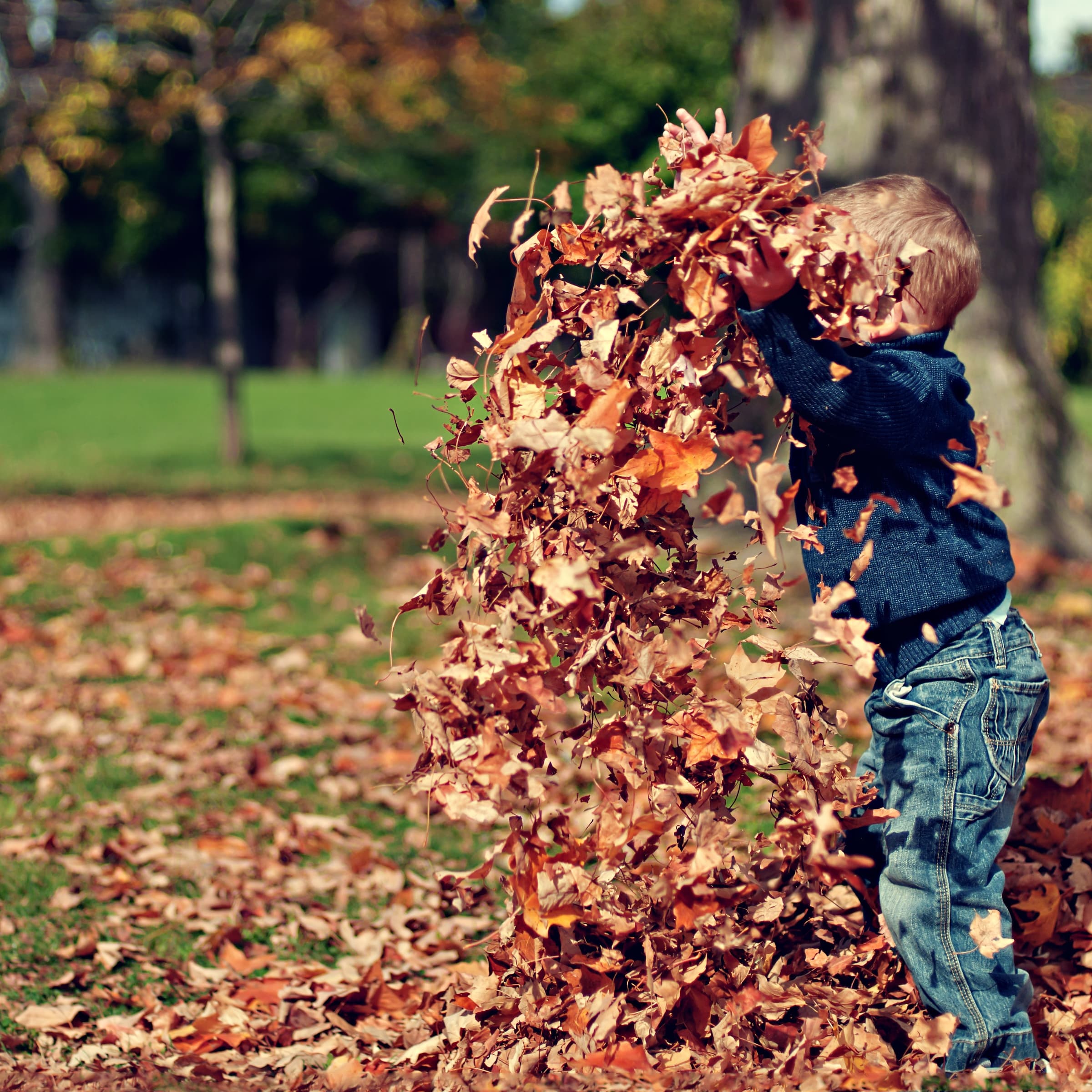 Workshop: Leafy Monsters - Beasts and Witches Festival