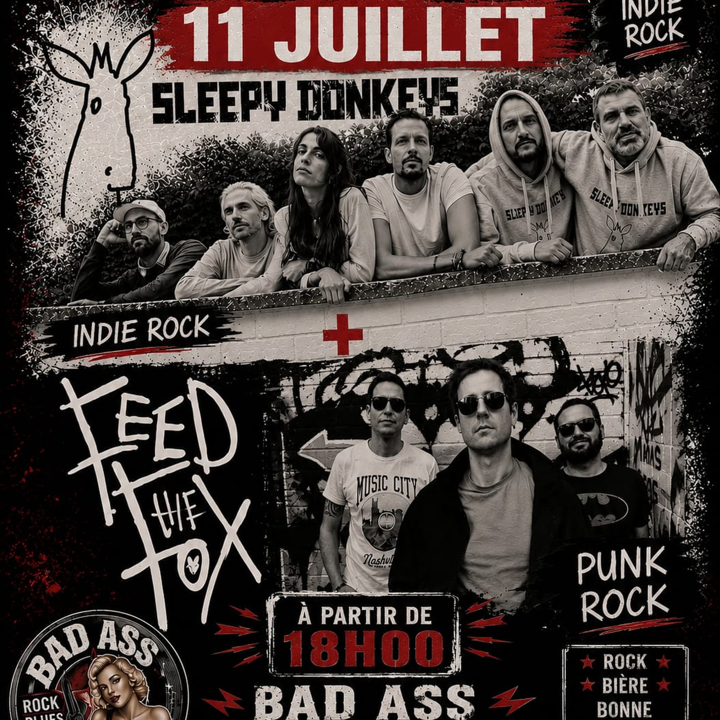 Concert de Sleepy Donkeys & Feed The Fox