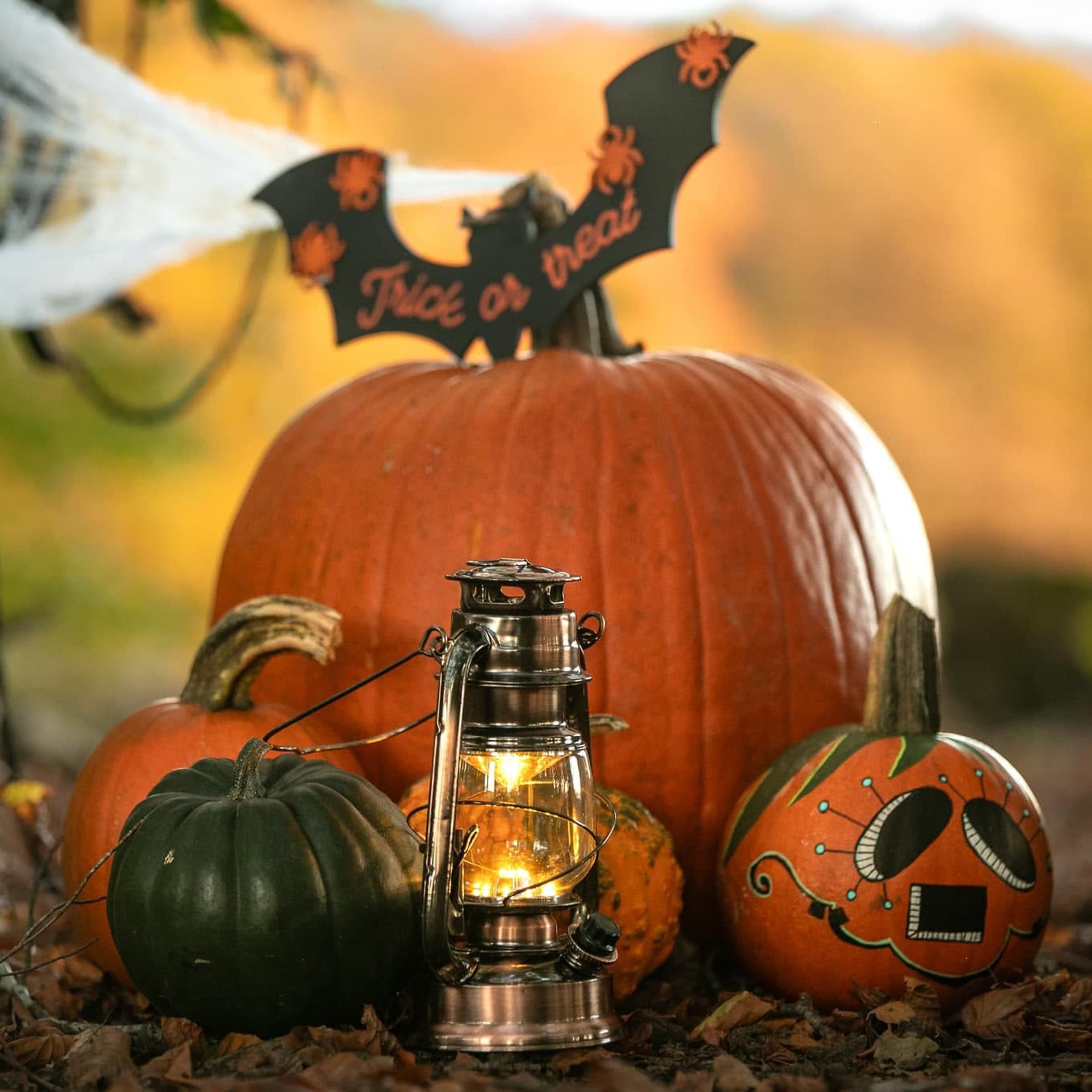 Halloween is approaching: find your pumpkin!