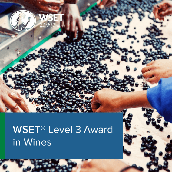 WSET Level 3 – French