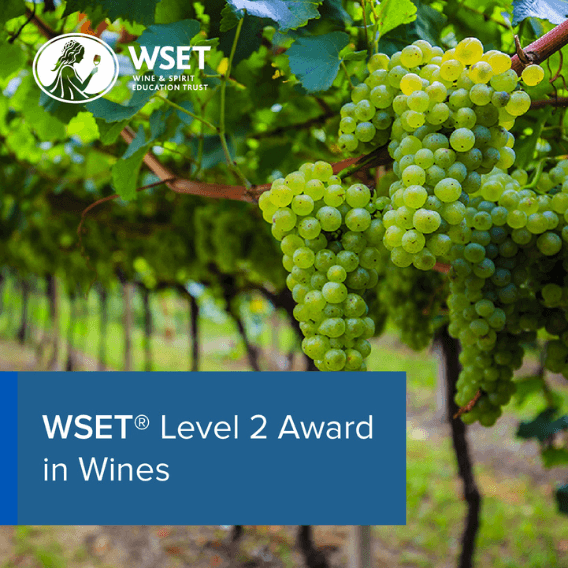 WSET Level 2 – English