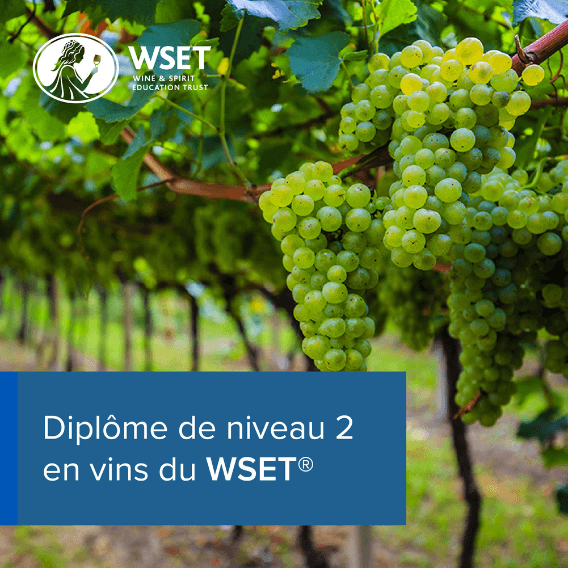 WSET Level 2 – French