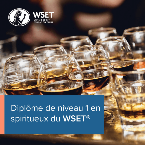 WSET Spirits Level 1 (FR)