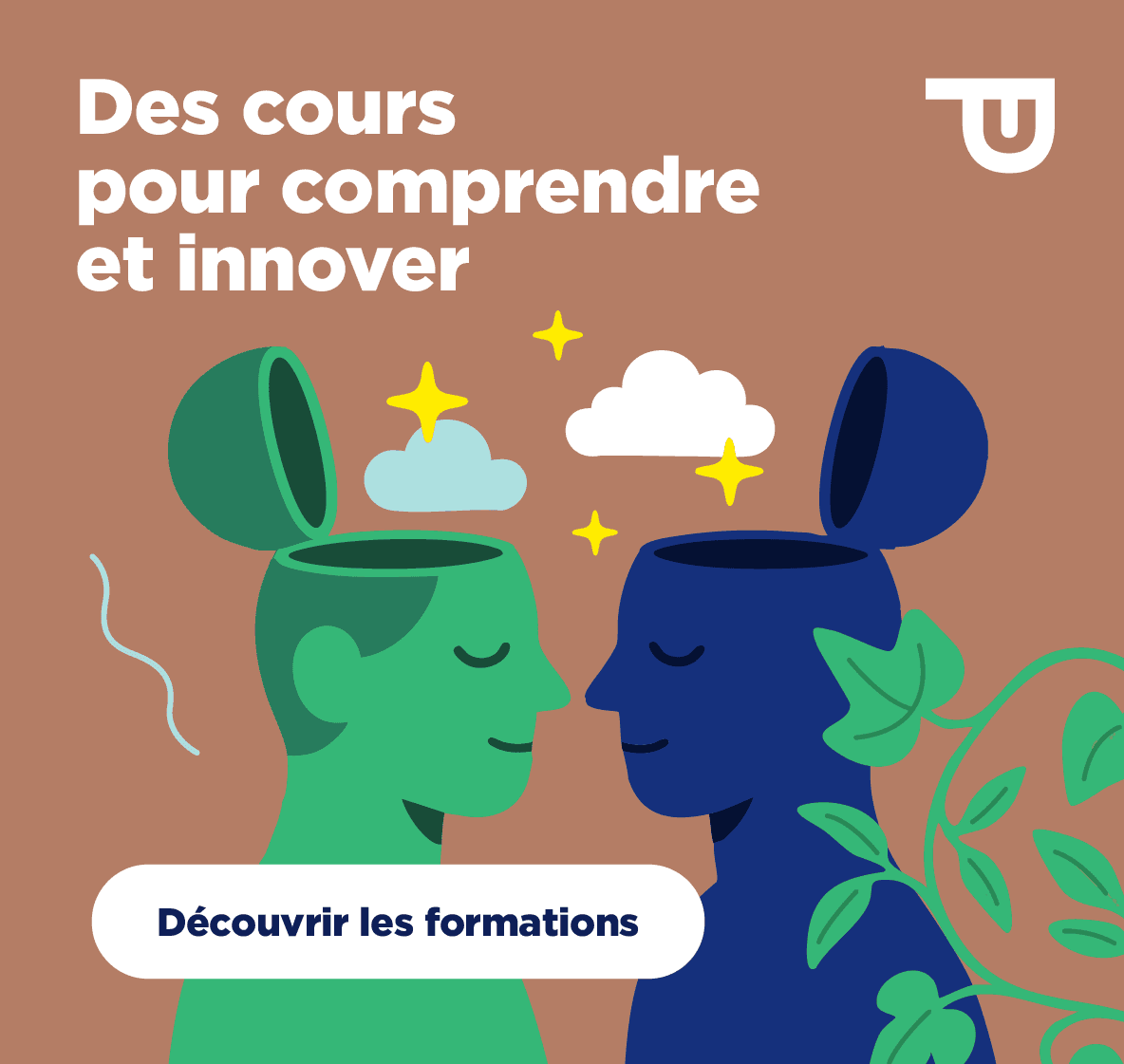 Tiques : comment se protéger efficacement et naturellement