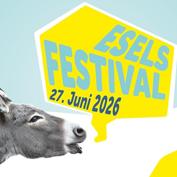 Festival de l'âne à Diekirch