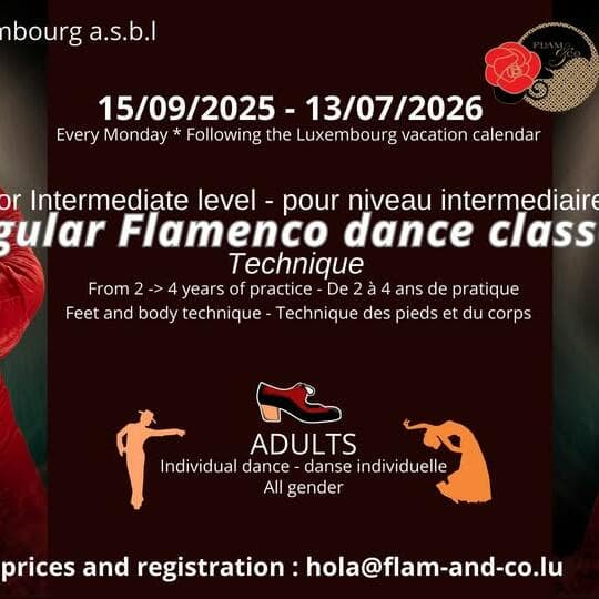 Flamenco pour adultes : INTERMÉDIAIRE 1 : technique (tous les lundis)