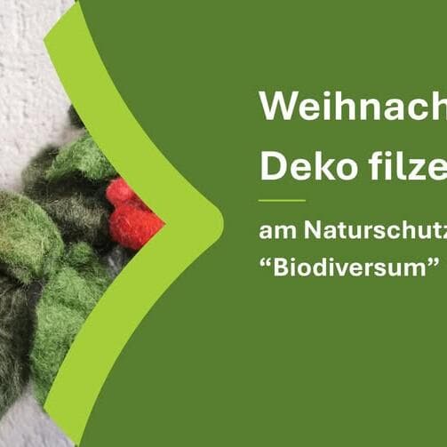 Felting Christmas Decorations