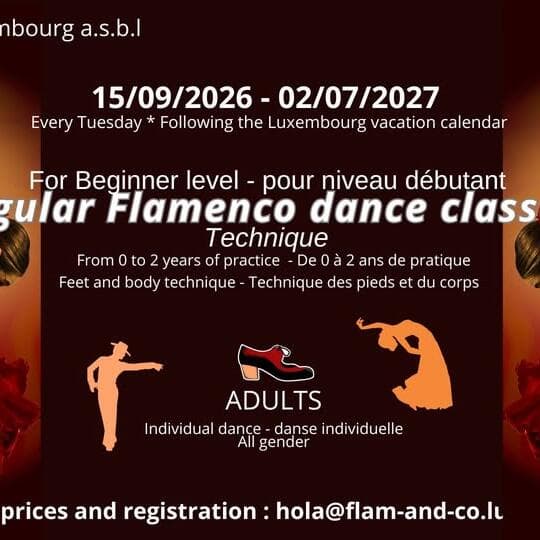Beginner adult flamenco