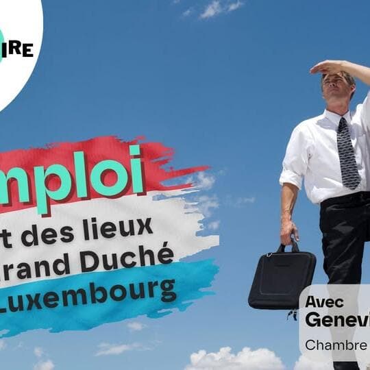 Political Observatory – Employment: the state of play in the Grand Duchy of Luxembourg