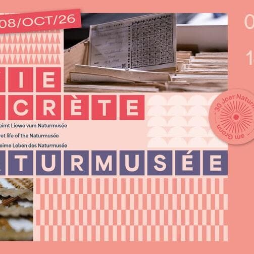 Vernissage – The Secret Life of the Naturmusée