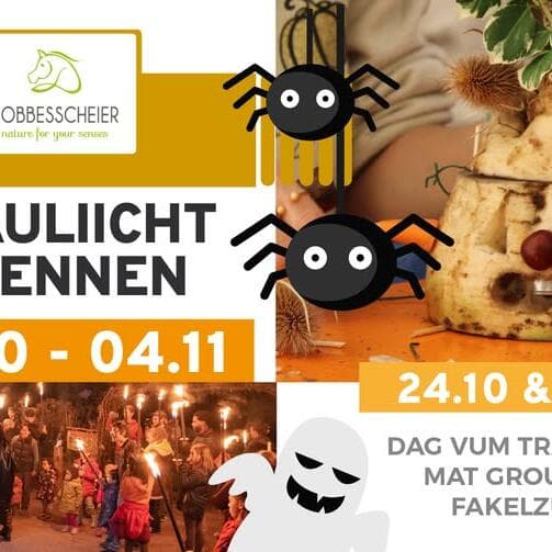 Trauliicht Weeks at the Robbesscheier!