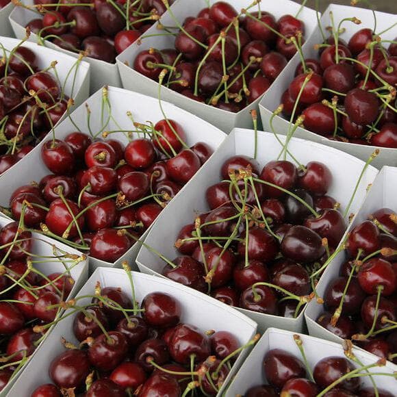 Fête des Cerises