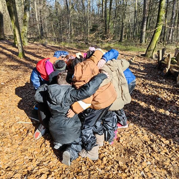 Language Support in the Forest