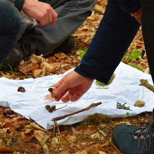 Less is more – Forest games with minimal equipment