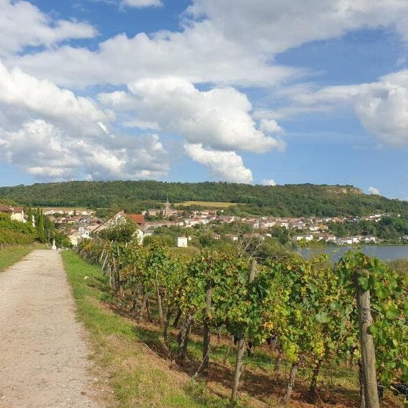 Interactive trail "Paul's Wine Quest"
