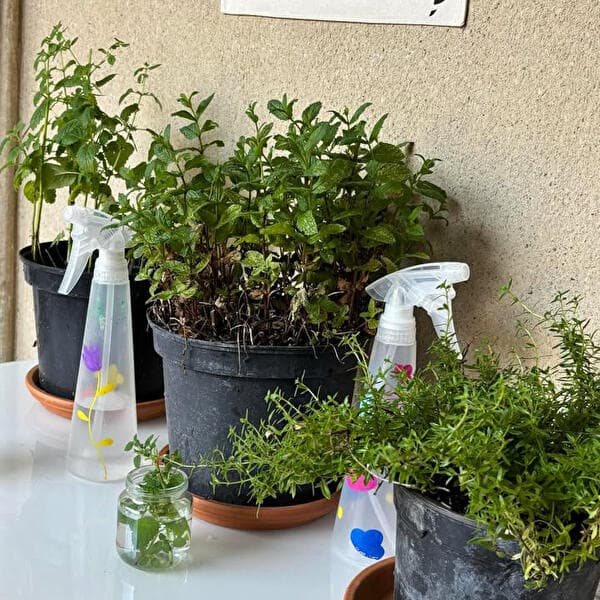 Atelier ado adultes Prenez en de la graine