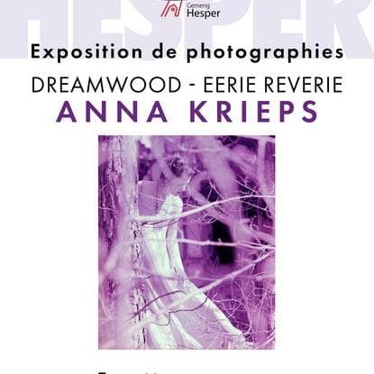 Anna Krieps Exhibition - DREAMWOOD - EERIE REVERIE