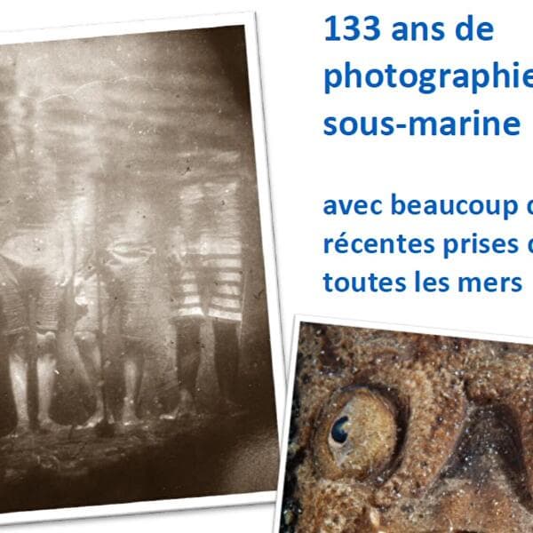 Lecture and Screening: 133 Years of Underwater Photography