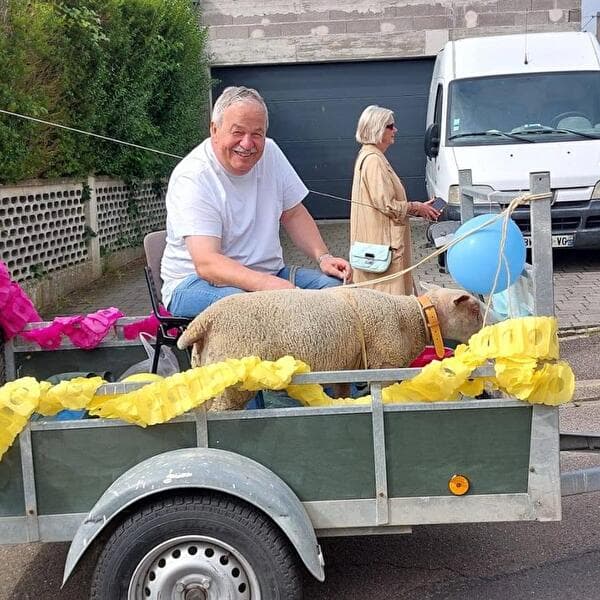 Marche du mouton