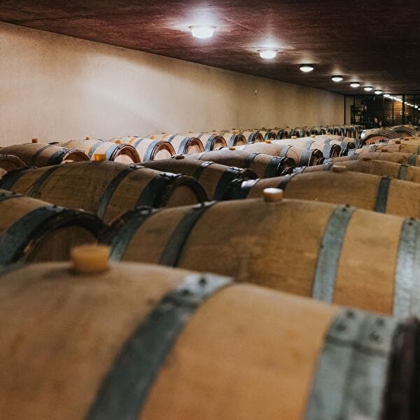 Bourgogne Tasting chez Wengler