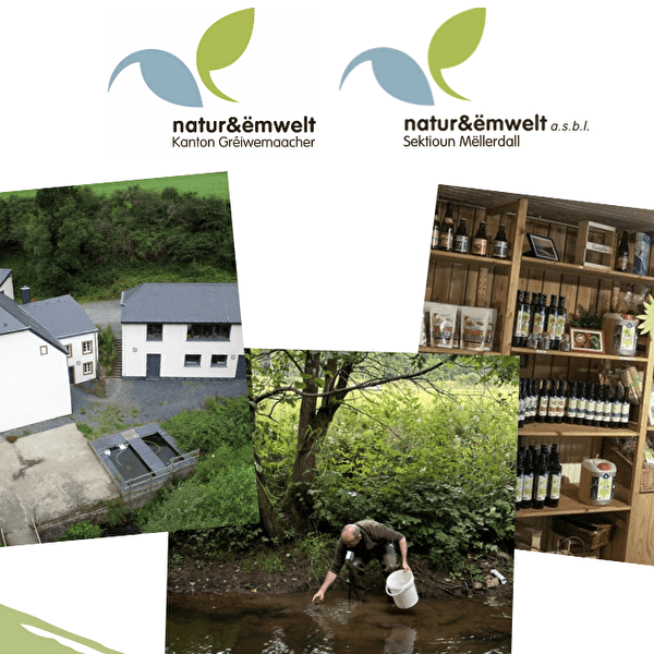 Visit to Kalborn Mill and an Ourdall farm