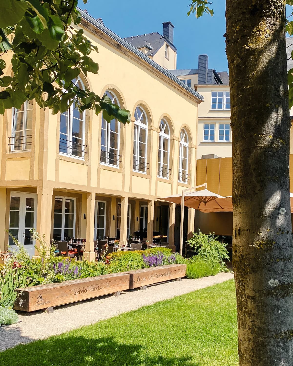 The Beech Tree By the Museum, the most gourmet brasserie in Luxembourg City - 1