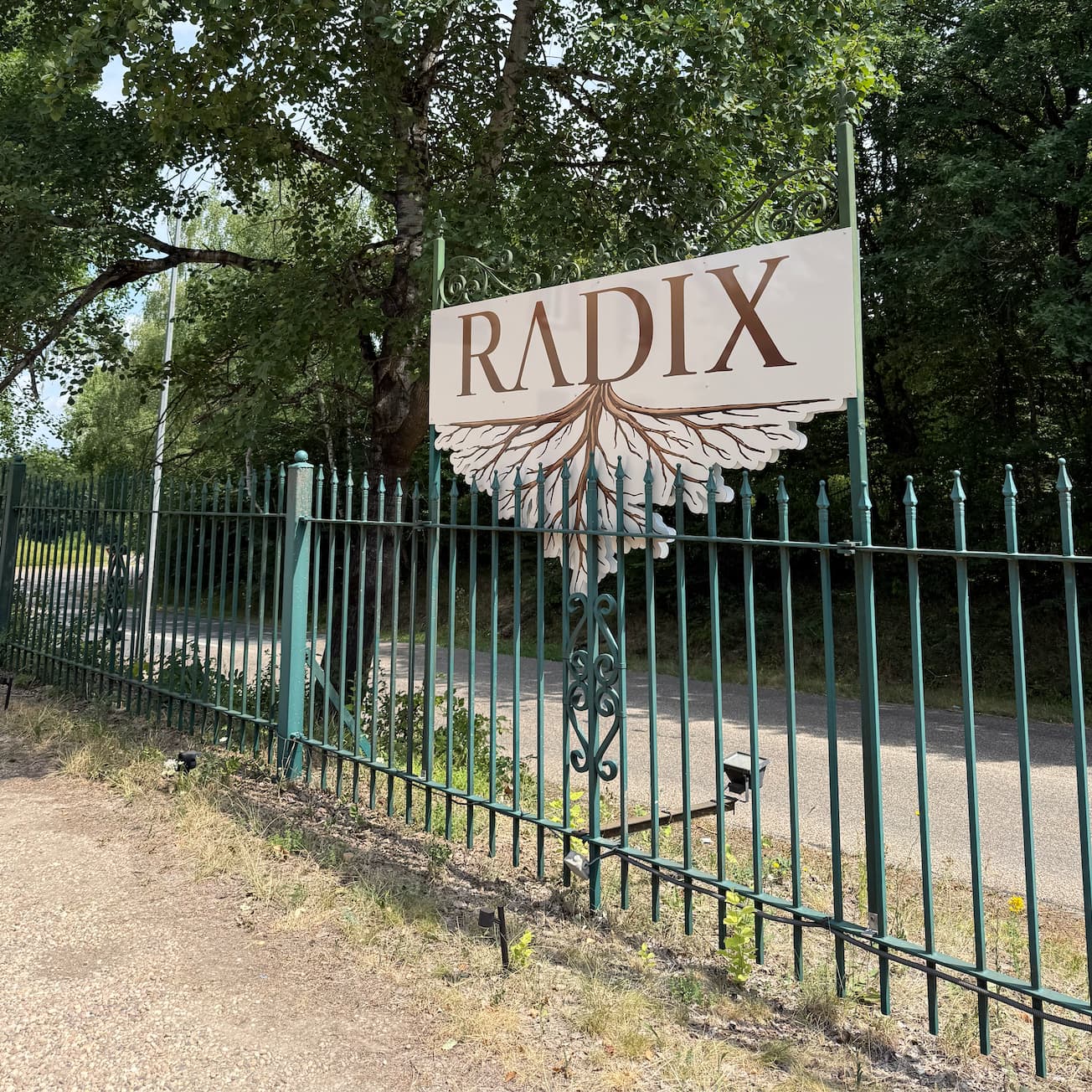 Radix : cuisine gastronomique et terrasse au cœur de la nature