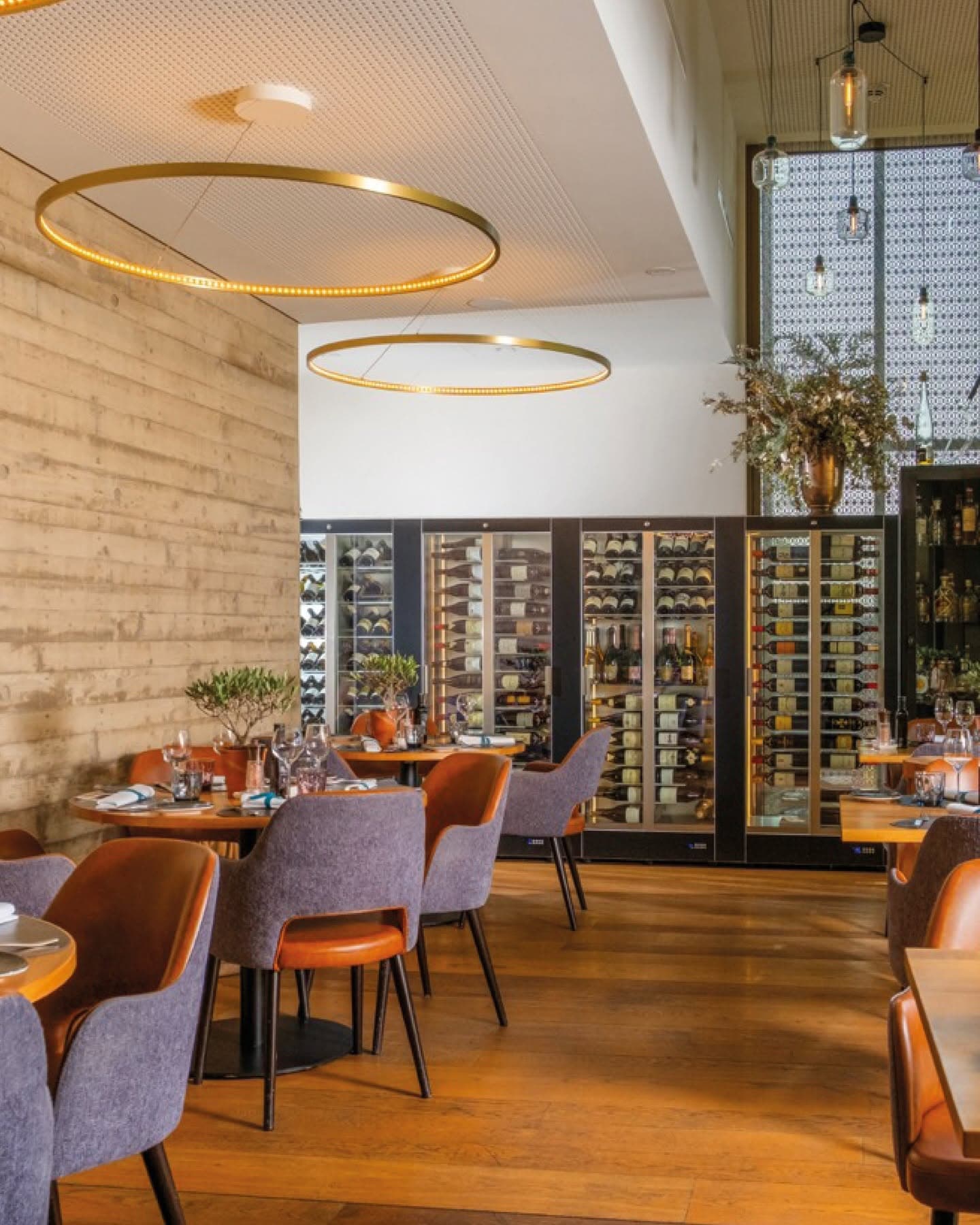 The Beech Tree By the Museum, the most gourmet brasserie in Luxembourg City - 7