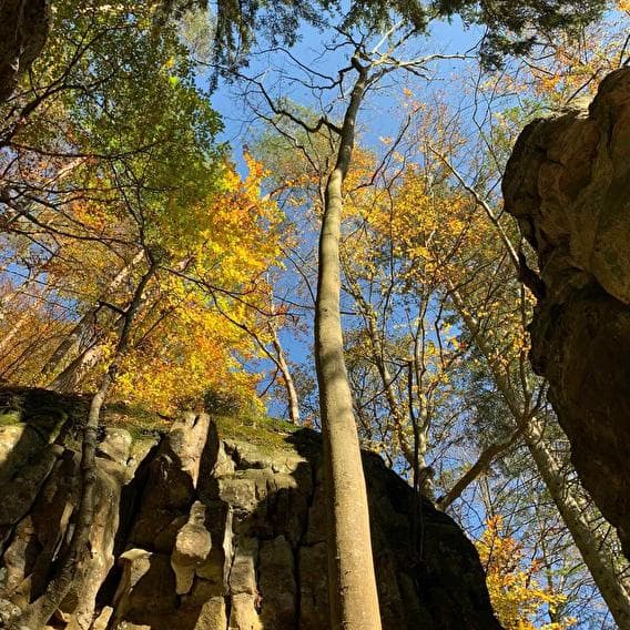 The magic and timeless hike - 1