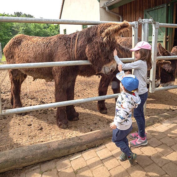 Escher Animal Park: free wildlife park in Esch-sur-Alzette